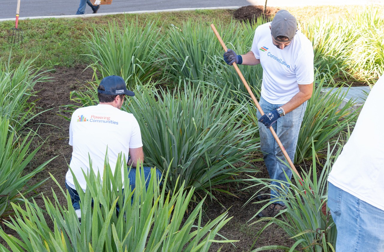 Constellation volunteers plant and mulch a garden during a community service project