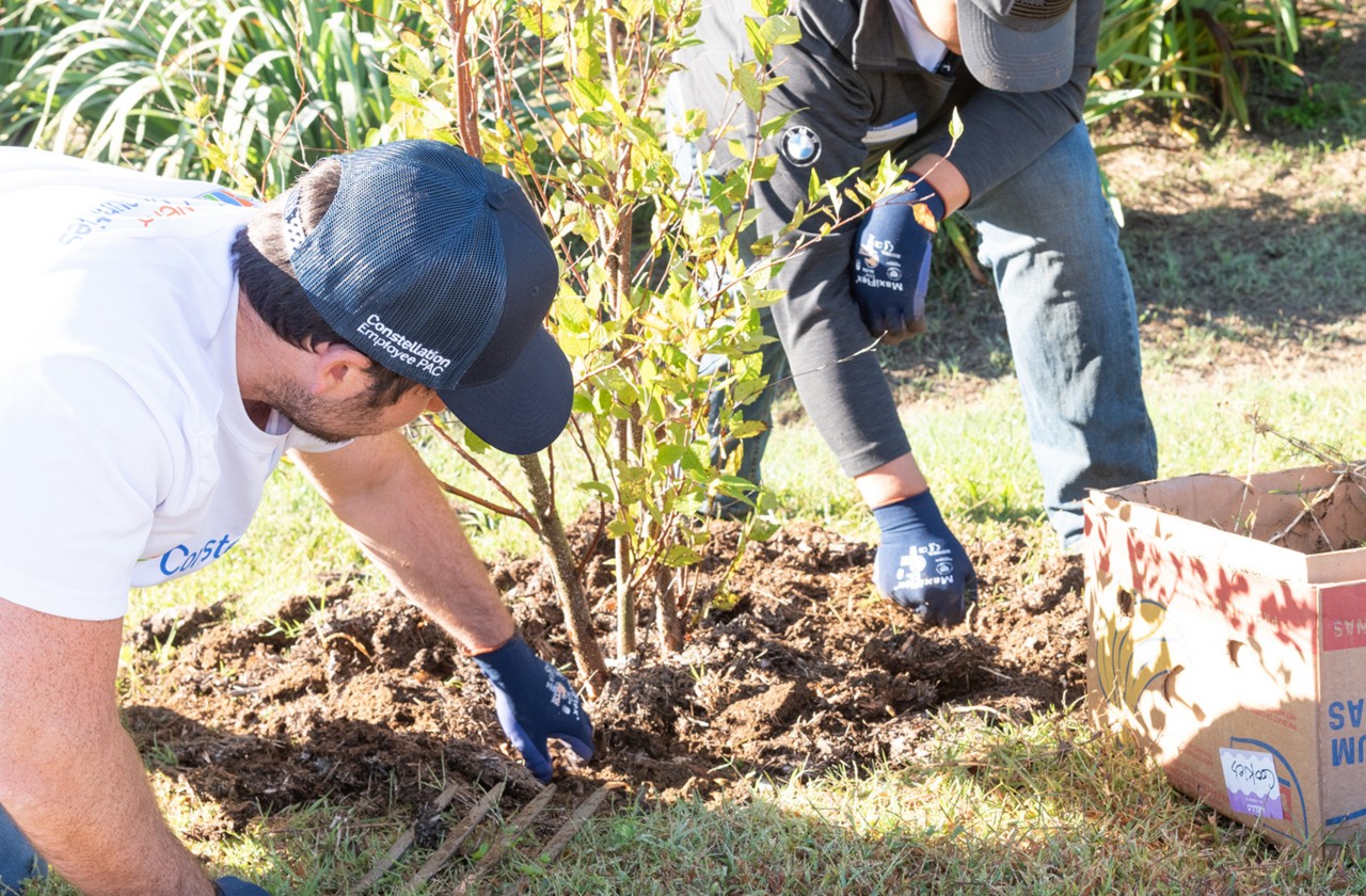 Constellation volunteers work together to maintain a landscaped garden