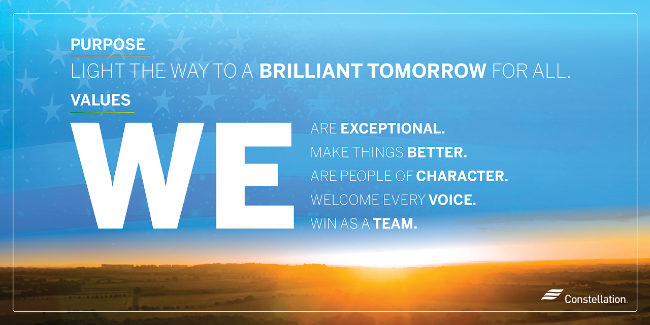 Constellation's purpose and values infographic