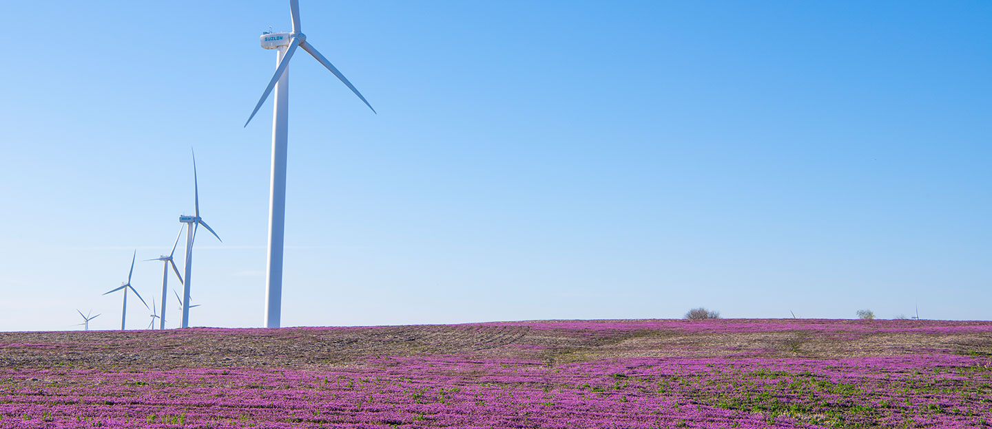 Conception Wind Project