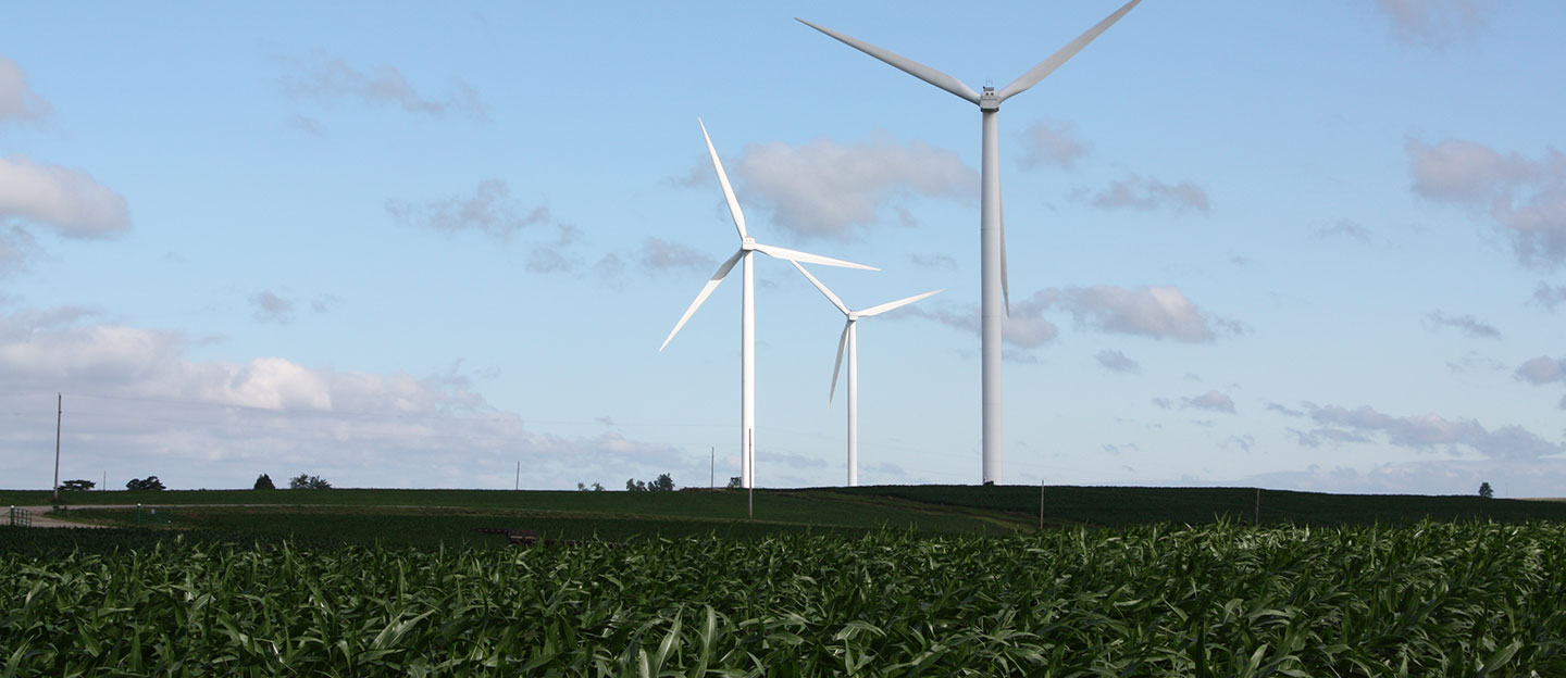 Cow Branch Wind Project