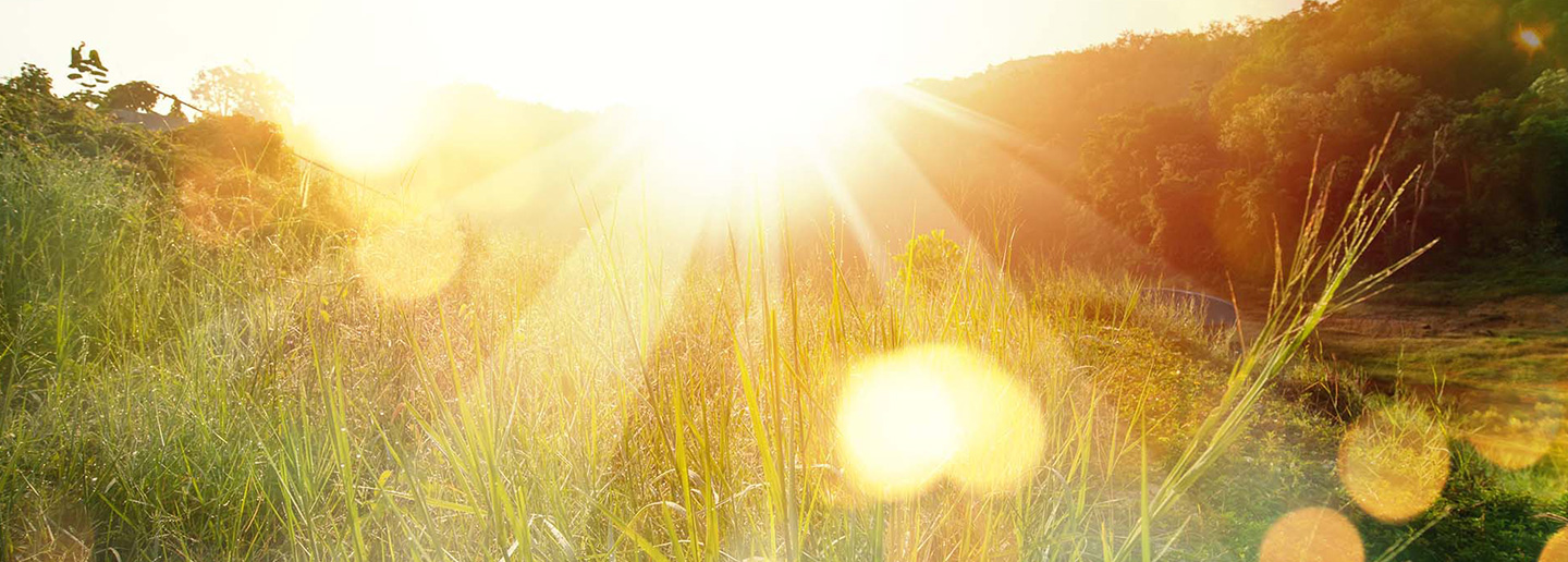 Sunset over Green Valley