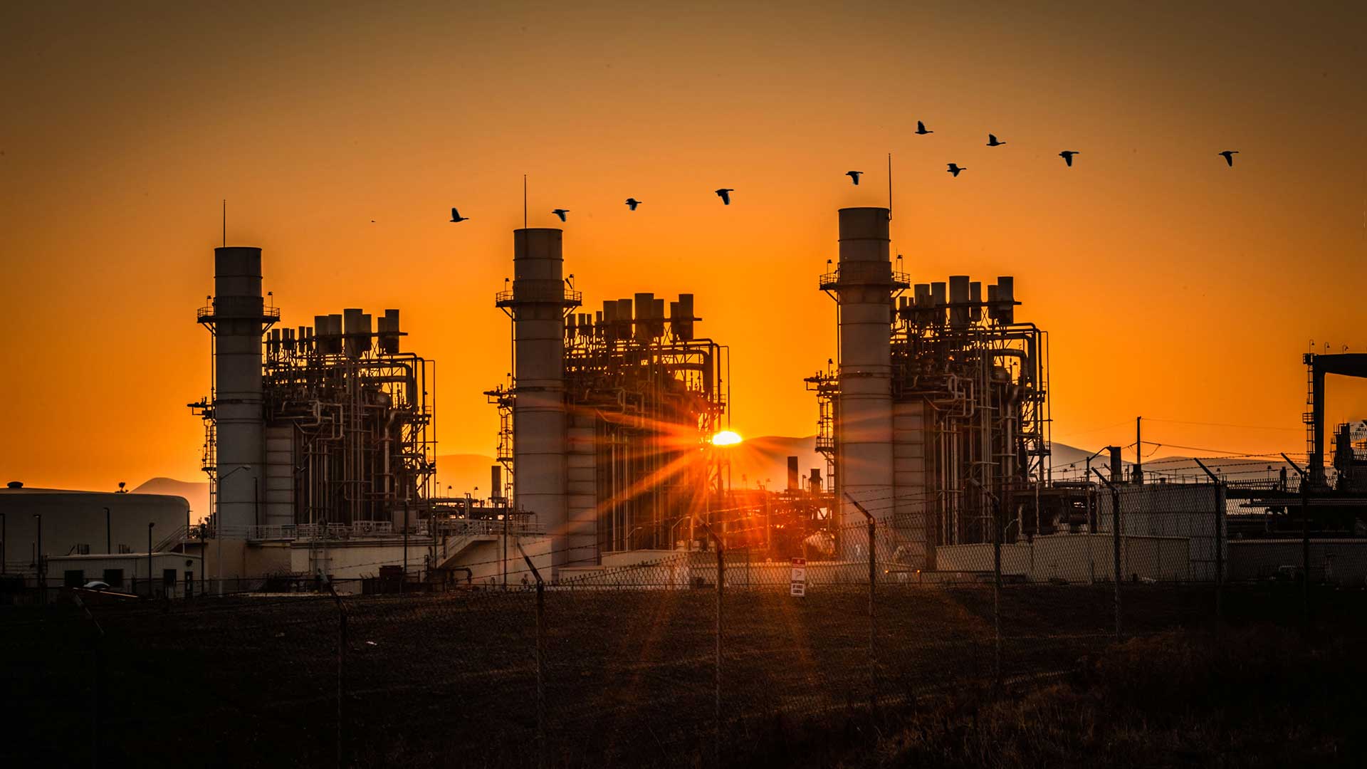 sunrise with birds flying overhead at Calpine Delta Energy Center