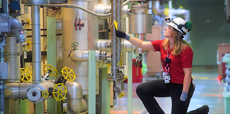 Limerick nuclear employee checking status of appliances