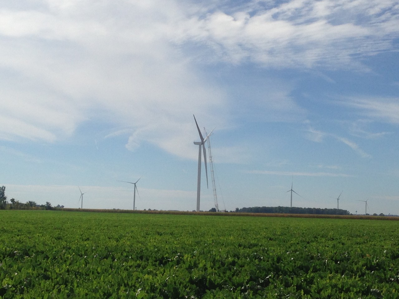 windmills for conversion of renewable energy