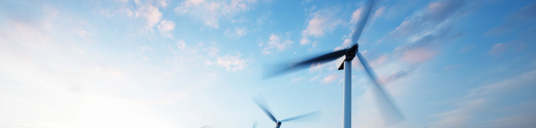 Wind Banner